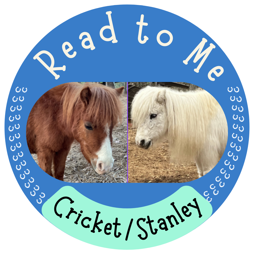 Read to Me Cricket/Stanley
