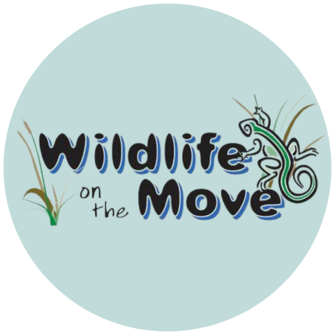 Wildlife on the Move