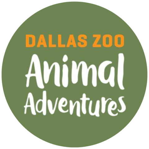 Animal Adventures