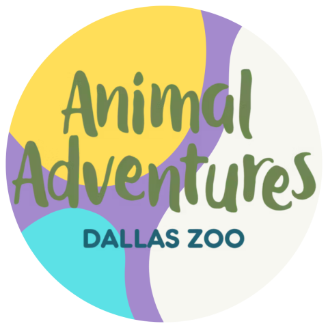 Colorful background with the text Animal Adventures Dallas Zoo