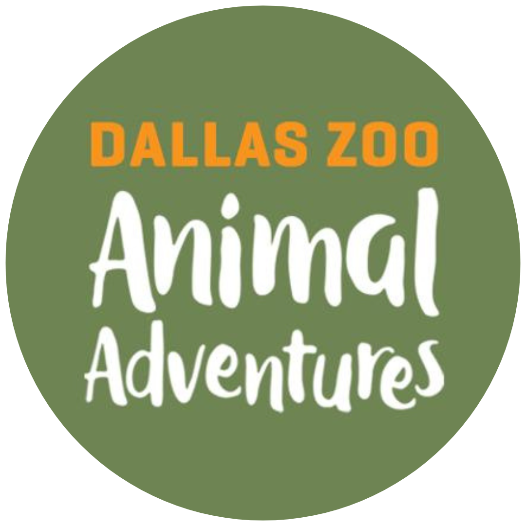 Animal Adventures