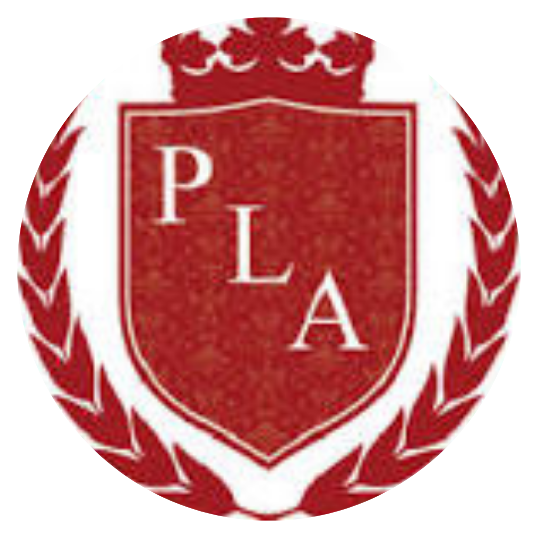 PLA University